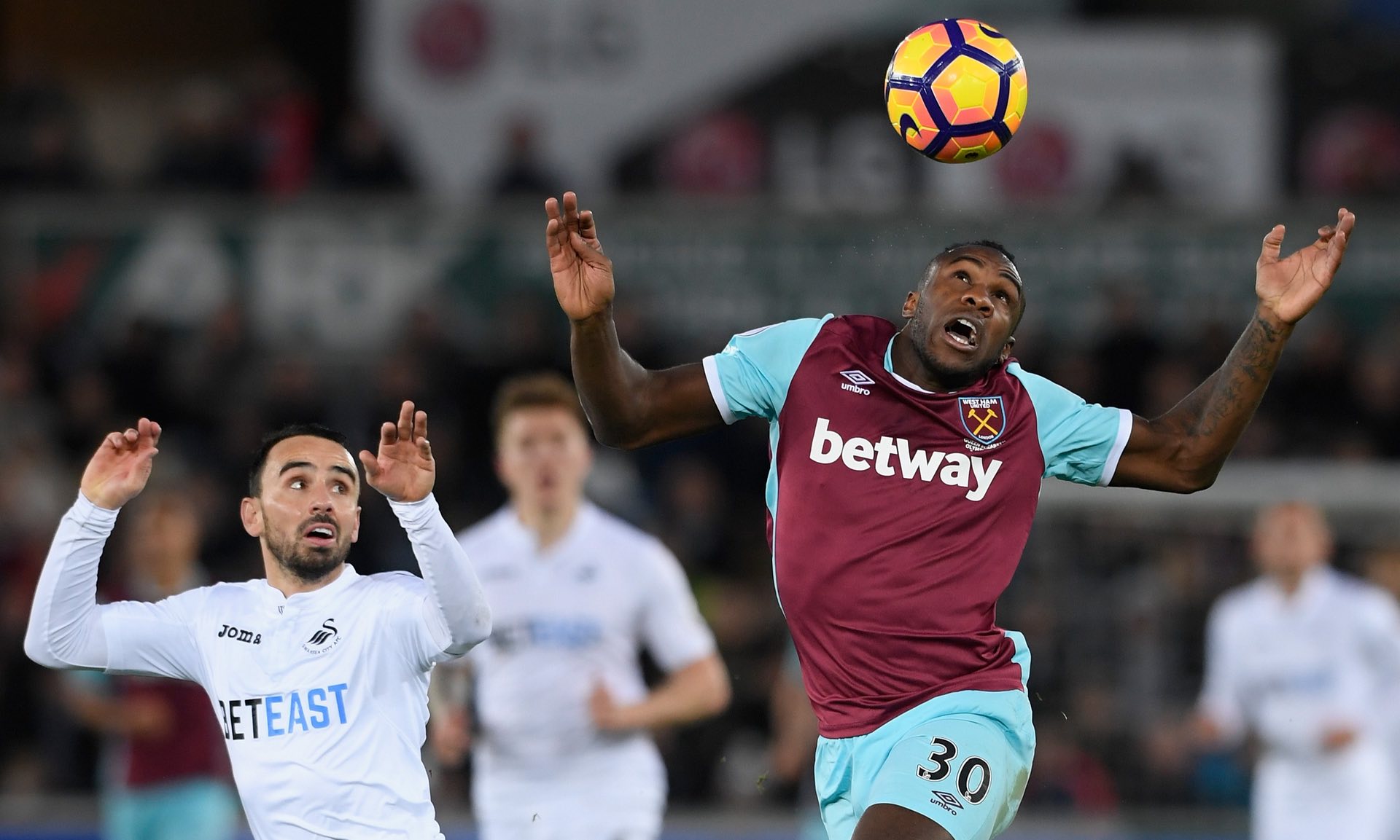 维奇与扎莱 维奇与扎莱